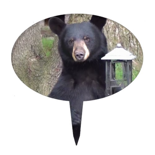 Beautiful Black Bear Enjoying Snack Cake Topper