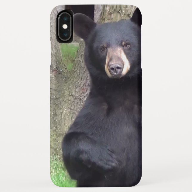 Beautiful Black Bear Enjoying Snack Case-Mate iPhone Case (Back)