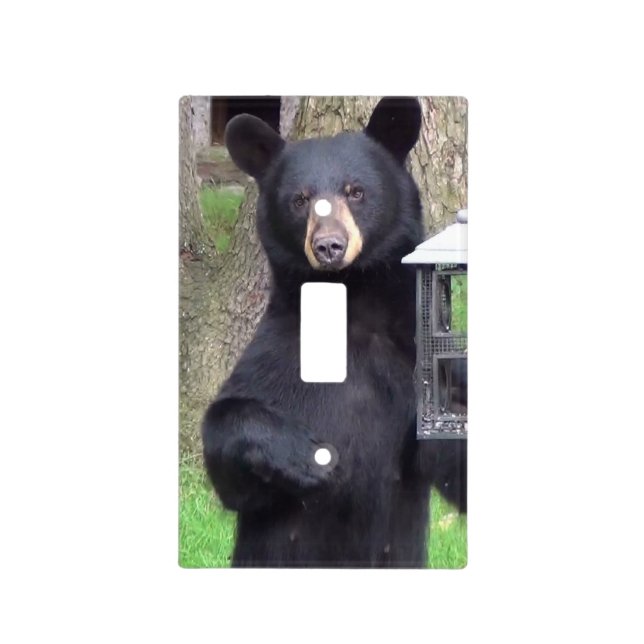 Beautiful Black Bear Enjoying Snack Light Switch Cover (Front)