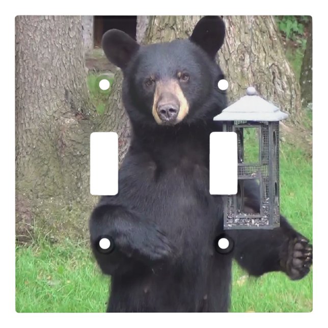 Beautiful Black Bear Enjoying Snack Light Switch Cover (Front)