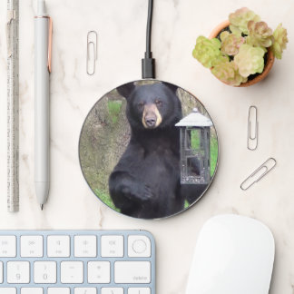 Beautiful Black Bear Enjoying Snack Wireless Charger