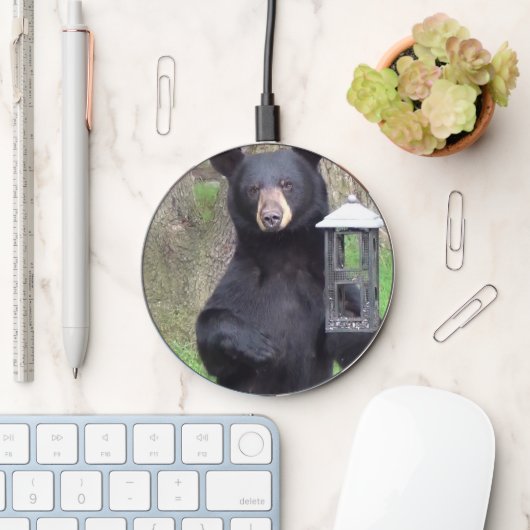 Beautiful Black Bear Enjoying Snack Wireless Charger (Desk)