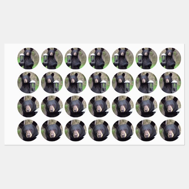 Beautiful Black Bear Labels (Sheet)