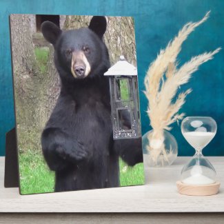 Beautiful Black Bear Photo Plaques