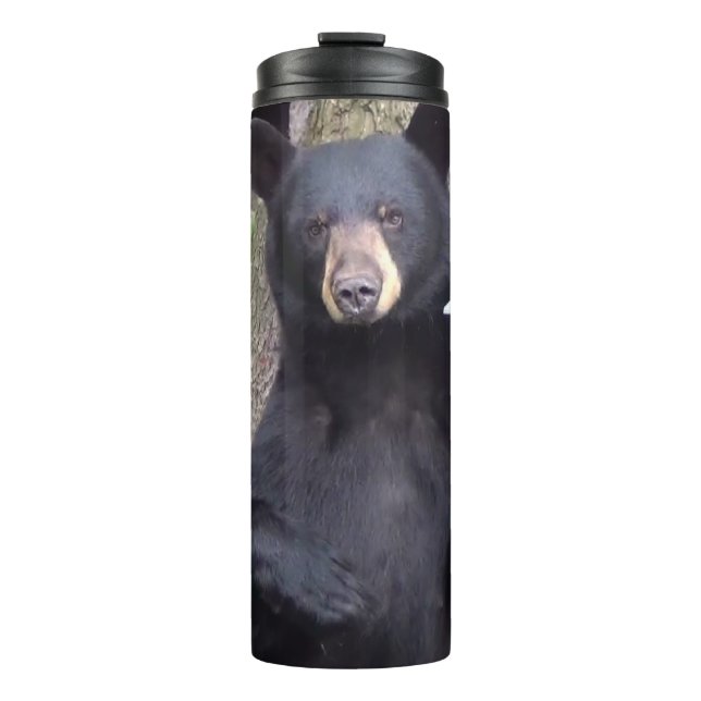 Beautiful Black Bear Thermal Tumbler (Front)