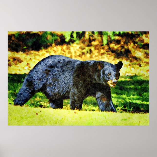 Beautiful Black Bear Wildlife Watercolor Paintings Poster (Front)
