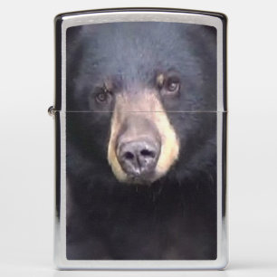 Beautiful Black Bear   Zippo Lighter