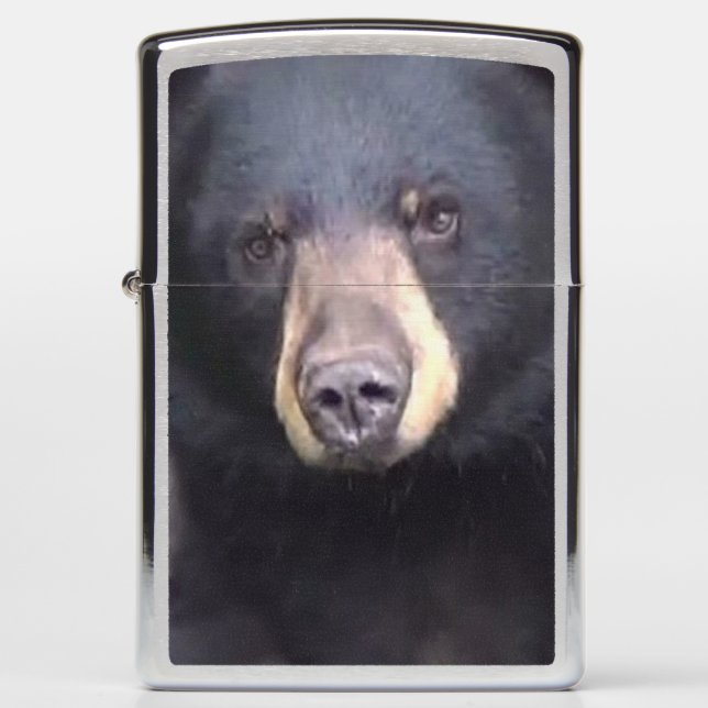 Beautiful Black Bear   Zippo Lighter (Front)