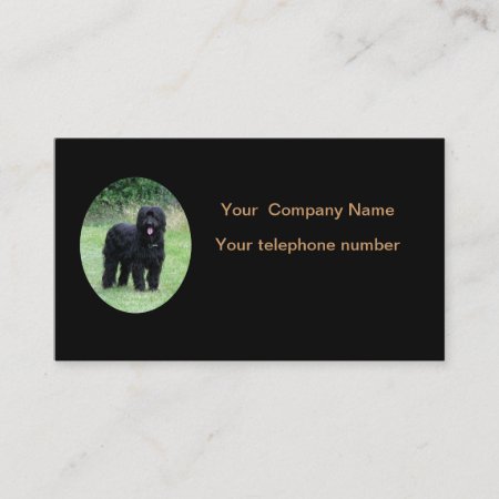Beautiful Black Briard Dog Business Card