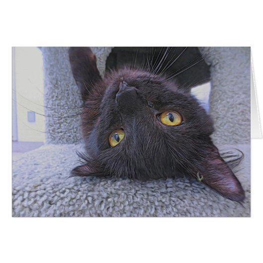Beautiful Black Cat Cards (Front Horizontal)