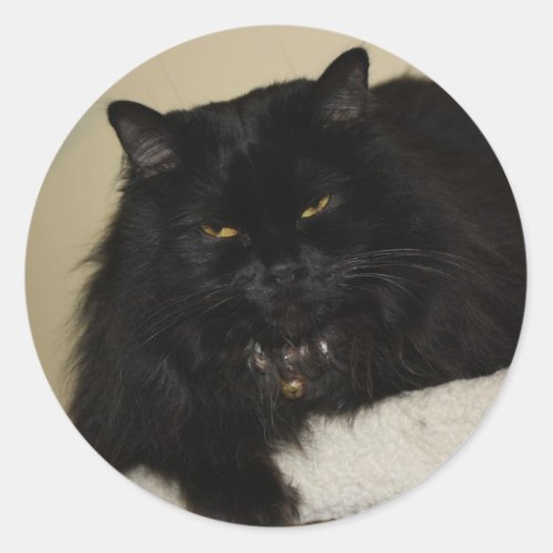 Beautiful black cat classic round sticker