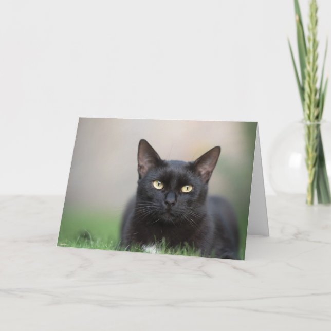 Beautiful Black Cat Note Card (Front)