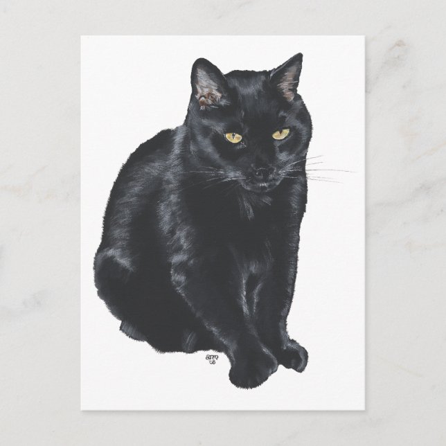 Beautiful Black Cat Postcard (Front)