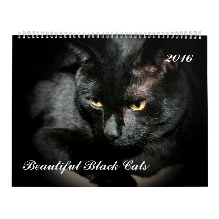 Beautiful Black Cats 2016 Calendar