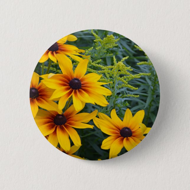 Beautiful black eyed susan flower garden pinback button (Front)