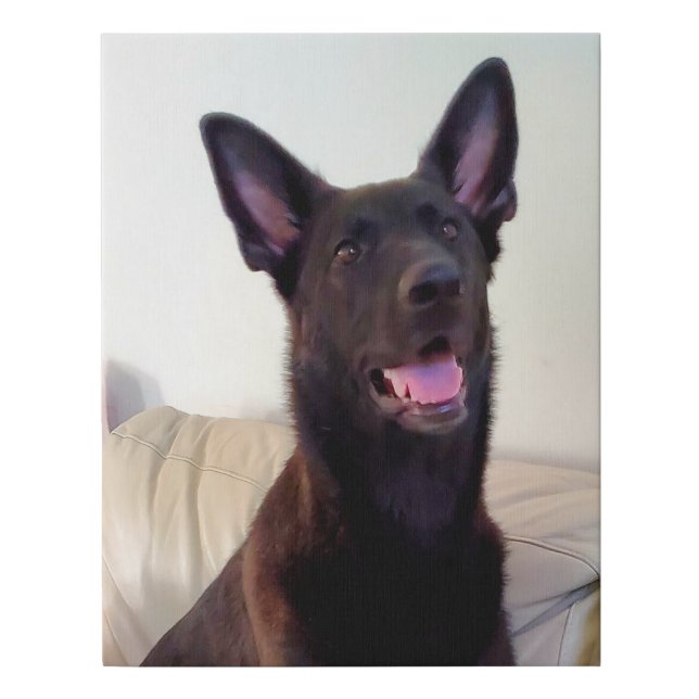 Beautiful black German Shepherd Faux Canvas Print (Front)