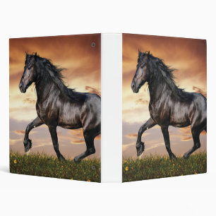 Beautiful Black Horse 3 Ring Binder