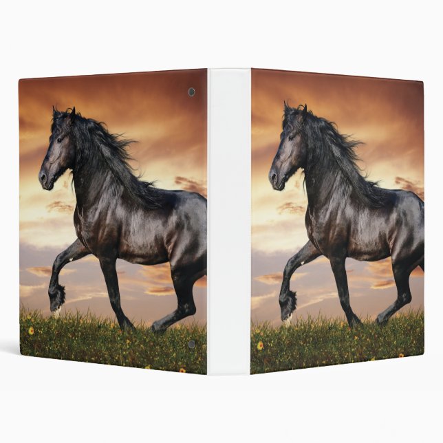 Beautiful Black Horse 3 Ring Binder (Background)