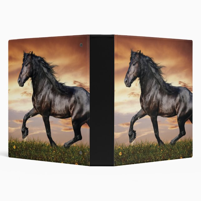 Beautiful Black Horse 3 Ring Binder (Background)