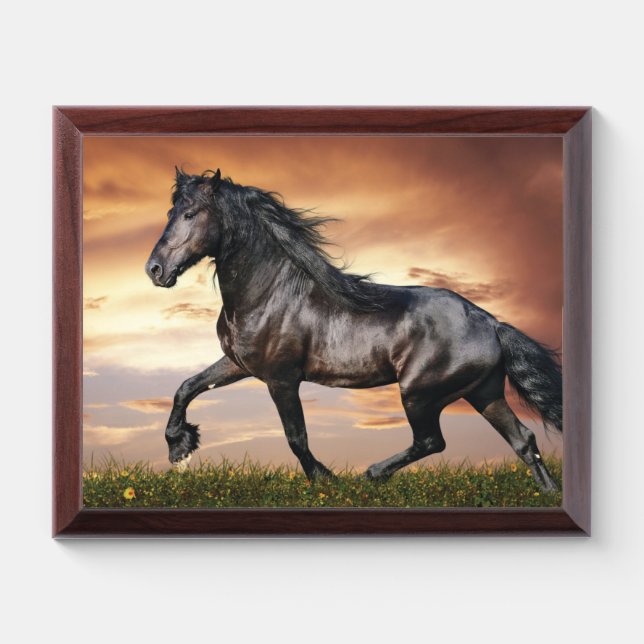 Beautiful Black Horse Award Plaque (Horizontal)