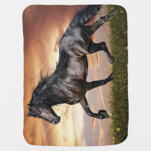Beautiful Black Horse Baby Blanket
