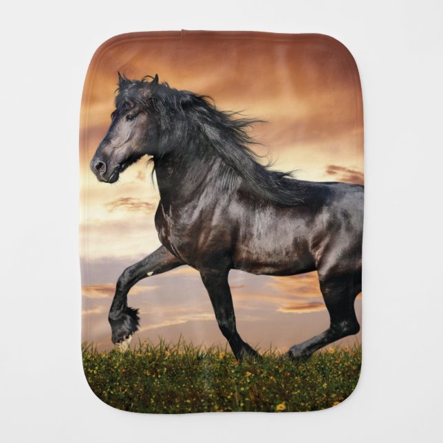 Beautiful Black Horse Baby Burp Cloth (Front)