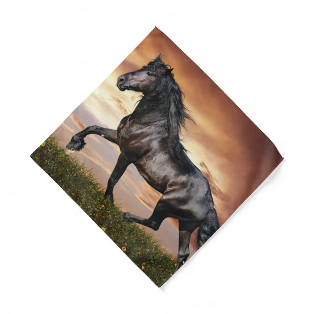 Beautiful Black Horse Bandana (Front)