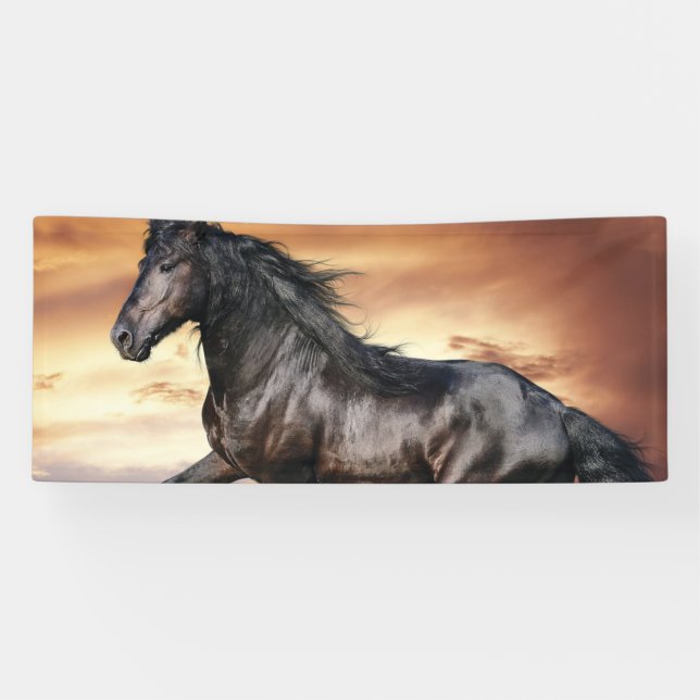 Beautiful Black Horse Banner (Horizontal)
