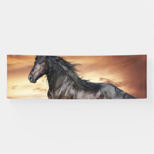 Beautiful Black Horse Banner
