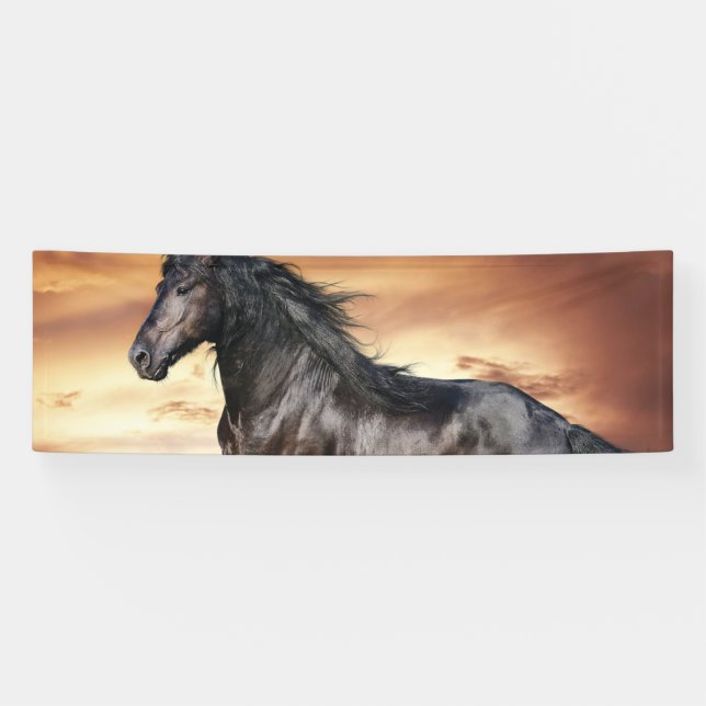 Beautiful Black Horse Banner (Horizontal)
