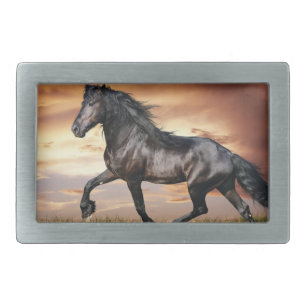 Beautiful Black Horse Belt Buckle