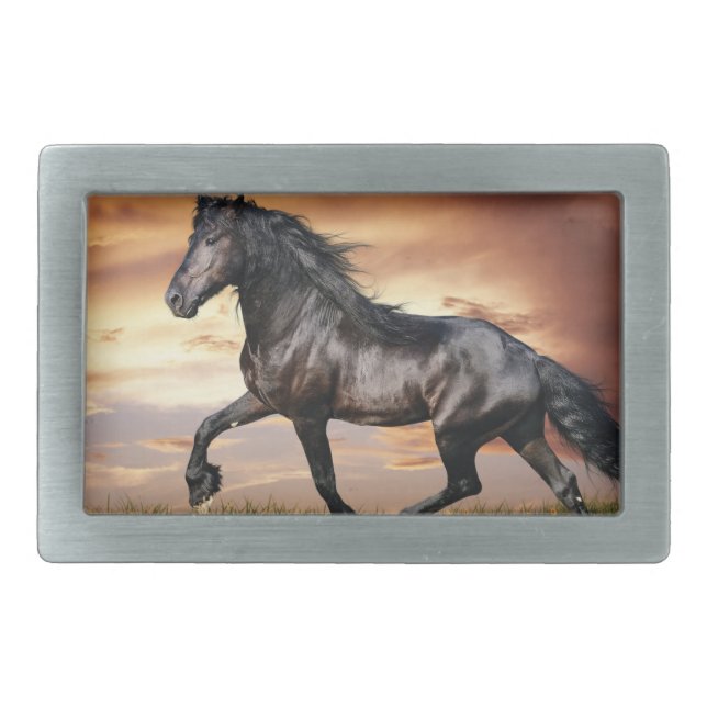 Beautiful Black Horse Belt Buckle (Front)