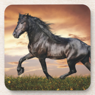 Beautiful Black Horse Beverage Coaster