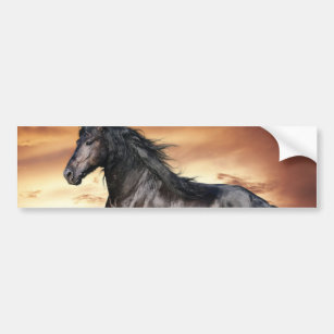 Beautiful Black Horse Bumper Sticker