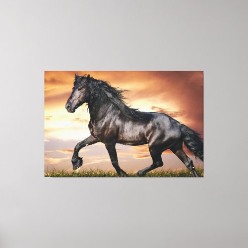 Beautiful Black Horse Canvas Print