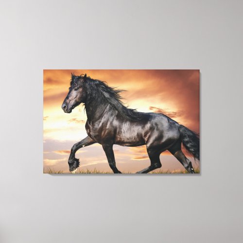 Beautiful Black Horse Canvas Print