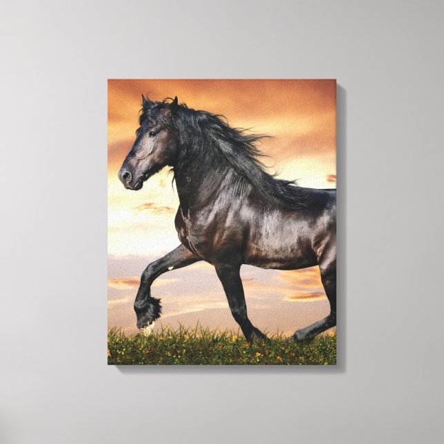 Beautiful Black Horse Canvas Print (Front)