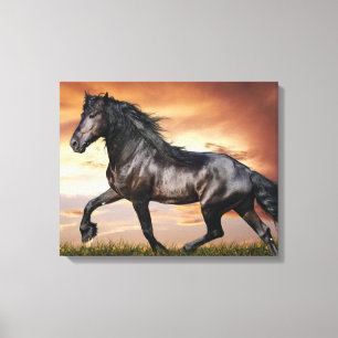 Beautiful Black Horse Canvas Print