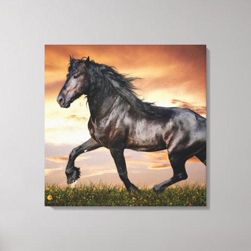 Beautiful Black Horse Canvas Print