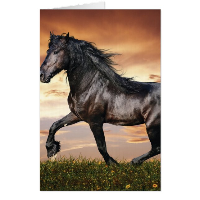 Beautiful Black Horse Card (Front)
