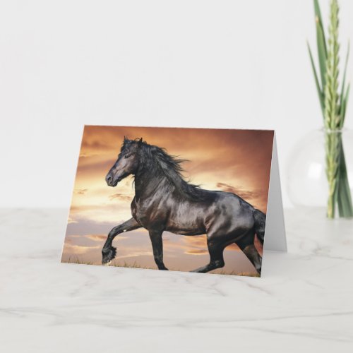Beautiful Black Horse Card