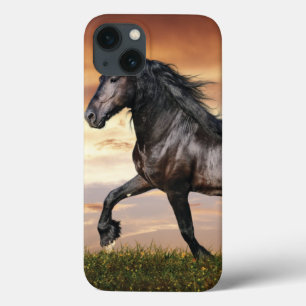 Beautiful Black Horse iPhone 13 Case