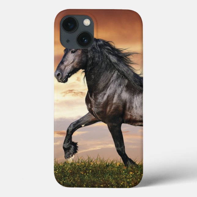 Beautiful Black Horse Case-Mate iPhone Case (Back)