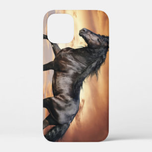 Beautiful Black Horse iPhone 12 Mini Case