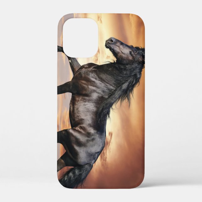 Beautiful Black Horse Case-Mate iPhone Case (Back)