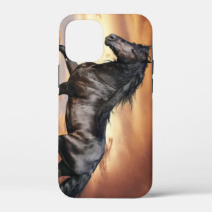Beautiful Black Horse iPhone 12 Mini Case