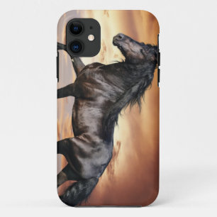 Beautiful Black Horse iPhone 11 Case