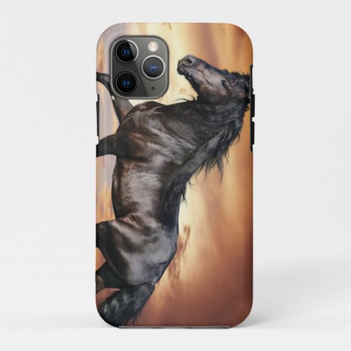 Beautiful Black Horse iPhone 11 Pro Case