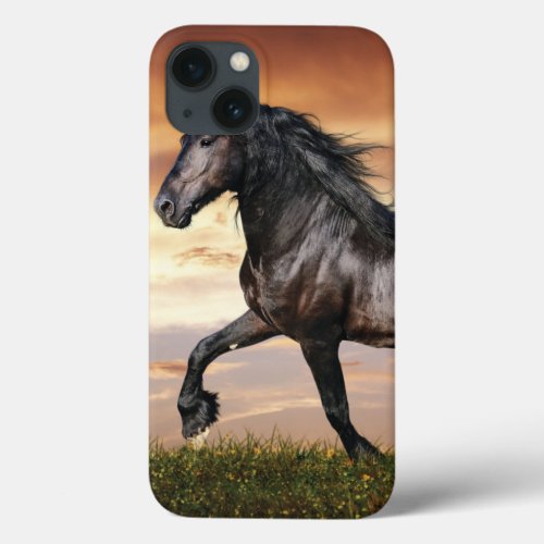 Beautiful Black Horse iPhone 13 Case