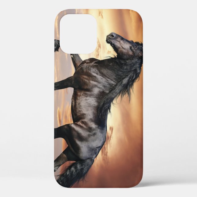 Beautiful Black Horse Case-Mate iPhone Case (Back)